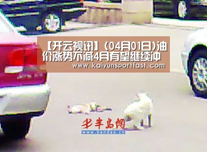 【开云视讯】(04月01日)油价涨势不减4月有望继续冲高(图4) 开云体育