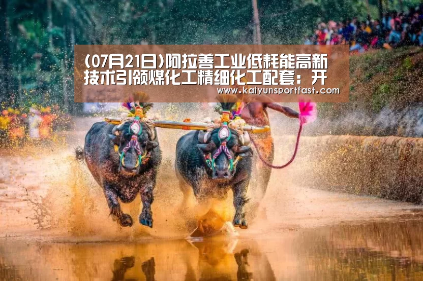 开云体育
