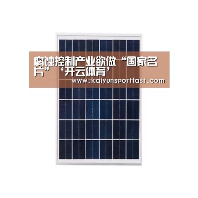 腐蚀控制产业欲做“国家名片”‘开云体育’(图2) 开云官网
