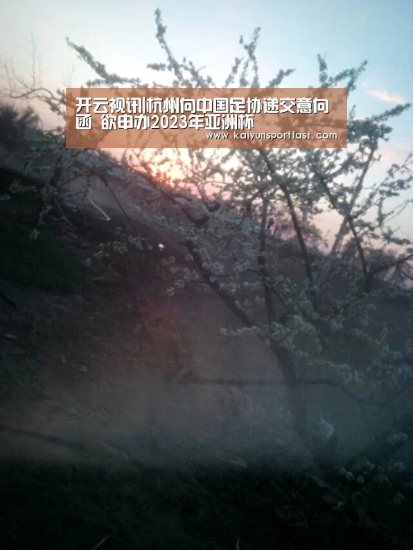 开云视讯|杭州向中国足协递交意向函 欲申办2023年亚洲杯(图2) 开云体育